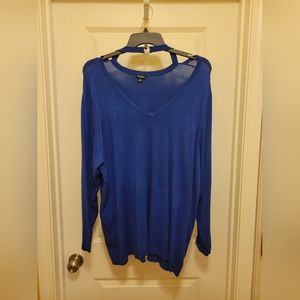 Sweater (Torrid 4)
